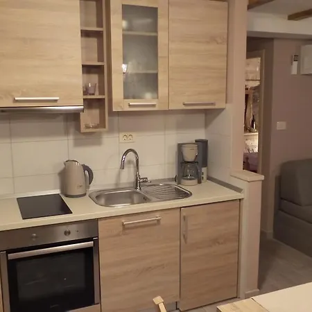 Apartment Dvor